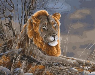 Картина по номерам «Лев» Картина по номерам «Лев»