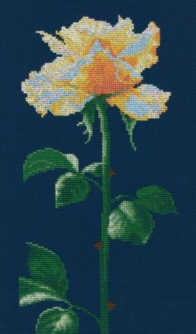 Набор для вышивания «Поющая свету» Набор для вышивания «Поющая свету»