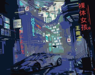 Картина по номерам «Ночные гонки» Картина по номерам «Ночные гонки»