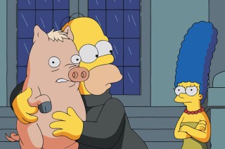 Картина по номерам «Simpsons Симпсоны: Мардж, Гомер и Свин»