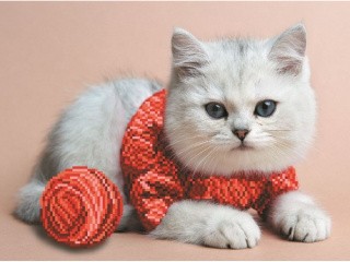 Набор вышивки бисером «Рукодельница» Набор вышивки бисером «Рукодельница»