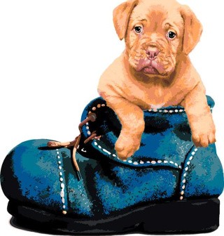 Картина по номерам «Щенок в ботинке» Картина по номерам «Щенок в ботинке»