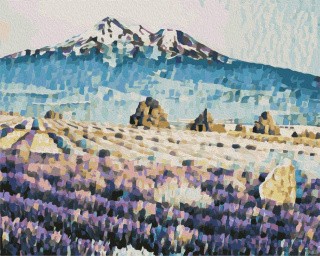 Картина по номерам «Лавандовая долина»