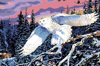 Картина по номерам «Сова в зимнем лесу»