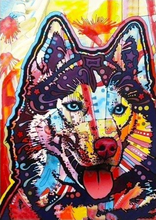 Алмазная вышивка «Яркая лайка» Алмазная вышивка «Яркая лайка»