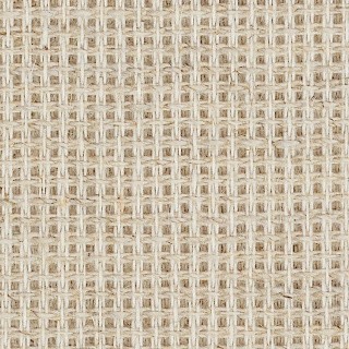 Канва мелкая (10х60кл), 40x50 см, цвет: бежевый, TBY Канва мелкая (10х60кл), 40x50 см, цвет: бежевый, TBY