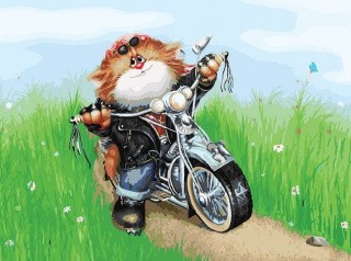 Картина по номерам «Котоциклист»