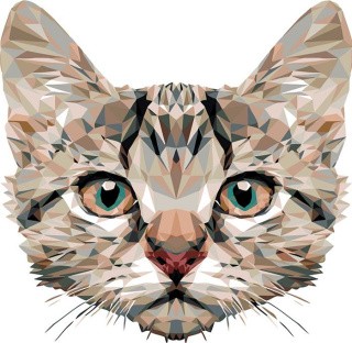 Картина по номерам «Векторный кот» Картина по номерам «Векторный кот»
