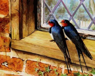 Картина по номерам «Птички на окошке»
