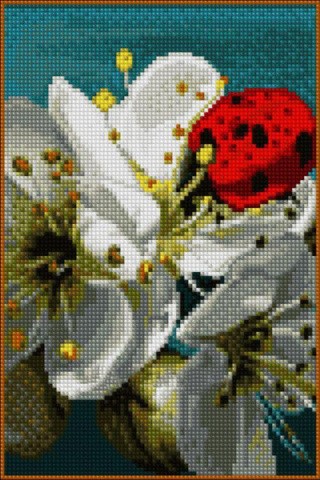 Алмазная вышивка «Яблоневый цвет» Алмазная вышивка «Яблоневый цвет»