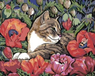 Картина по номерам «Отдых в маках» Картина по номерам «Отдых в маках»