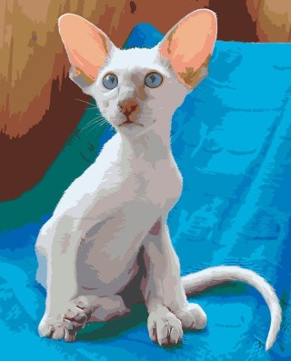 Картина по номерам «Ориентальная кошка»