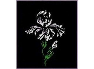 Набор для вышивания «Ирис» Набор для вышивания «Ирис»