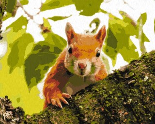 Картина по номерам «Охотник за орехами» Картина по номерам «Охотник за орехами»