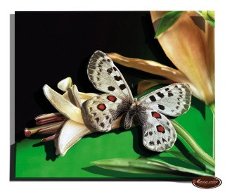Папертоль «Бабочка на цветке»