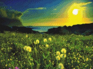 Алмазная вышивка «Весеннее поле» Алмазная вышивка «Весеннее поле»