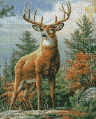 Алмазная вышивка «Олень гордый»
