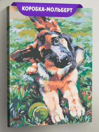 Картина по номерам «Овчарка»