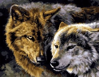 Картина по номерам «Волки» Картина по номерам «Волки»