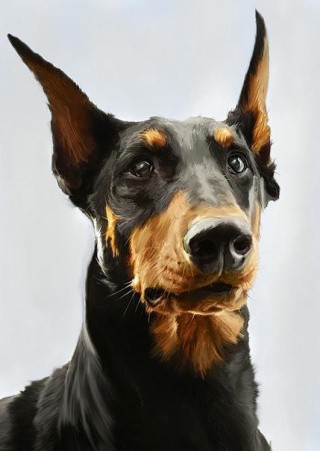 Алмазная вышивка «Доберман» Алмазная вышивка «Доберман»
