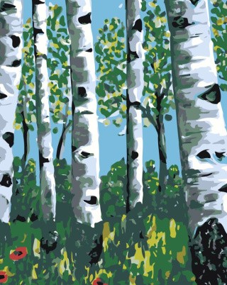 Картина по номерам «Березки»