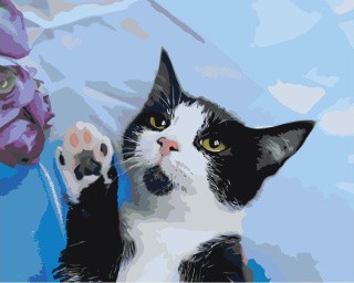 Картина по номерам «Чёрно-белый кот»