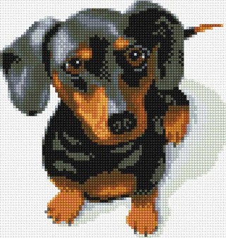 Алмазная вышивка «Такса» Алмазная вышивка «Такса»