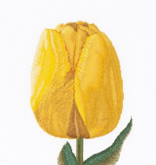 Набор для вышивания «Желтый тюльпан гибрид»