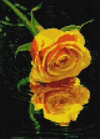 Алмазная вышивка «Жёлтая роза на воде»