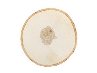 Срез дерева СРЕЗ-07, d 23 см, 1 шт., Blumentag Срез дерева СРЕЗ-07, d 23 см, 1 шт., Blumentag