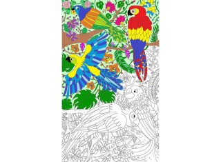 Плакат-раскраска «Попугаи»