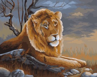 Картина по номерам «Лев. Веннинг Я.» Картина по номерам «Лев. Веннинг Я.»