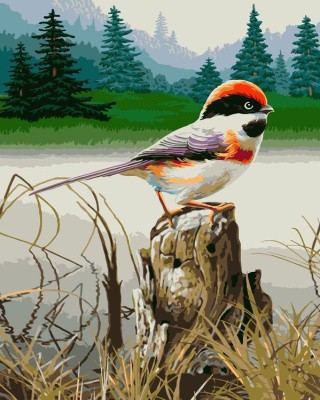Картина по номерам «Птичка» Картина по номерам «Птичка»