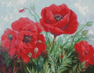 Алмазная вышивка «Маки» Алмазная вышивка «Маки»