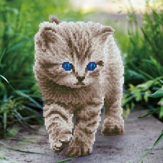 Алмазная вышивка «Котенок на прогулке» Алмазная вышивка «Котенок на прогулке»