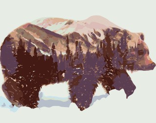 Картина по номерам «Медведь»