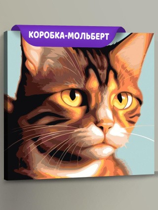 Картина по номерам «Кошачий взгляд»