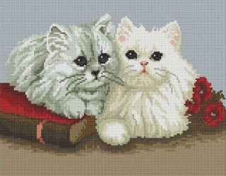 Алмазная вышивка «Белые котята» Алмазная вышивка «Белые котята»