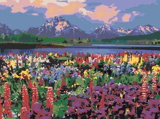 Картина по номерам «Цветочное поле»