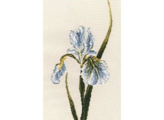Набор для вышивания «Белый ирис» Набор для вышивания «Белый ирис»
