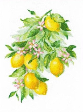 Набор для вышивания «Яркие лимоны»