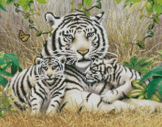 Алмазная вышивка «Белые тигры» Алмазная вышивка «Белые тигры»