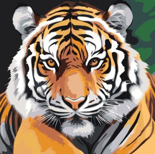 Картина по номерам «Тигр крупным планом»