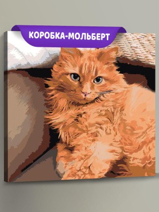 Картина по номерам «Рыжий кот»