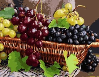 Картина по номерам «Виноградное изобилие» Картина по номерам «Виноградное изобилие»