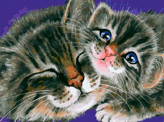 Картина по номерам «Моя радость» Картина по номерам «Моя радость»