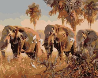 Картина по номерам «Слоны идут на север»