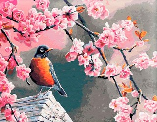 Картина по номерам «Снегирь и сакура» Картина по номерам «Снегирь и сакура»