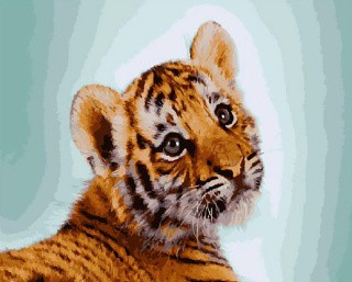 Картина по номерам «Милый тигренок»