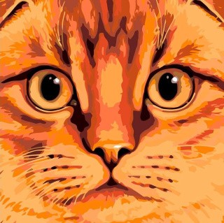 Картина по номерам «Шотландская вислоухая» Картина по номерам «Шотландская вислоухая»